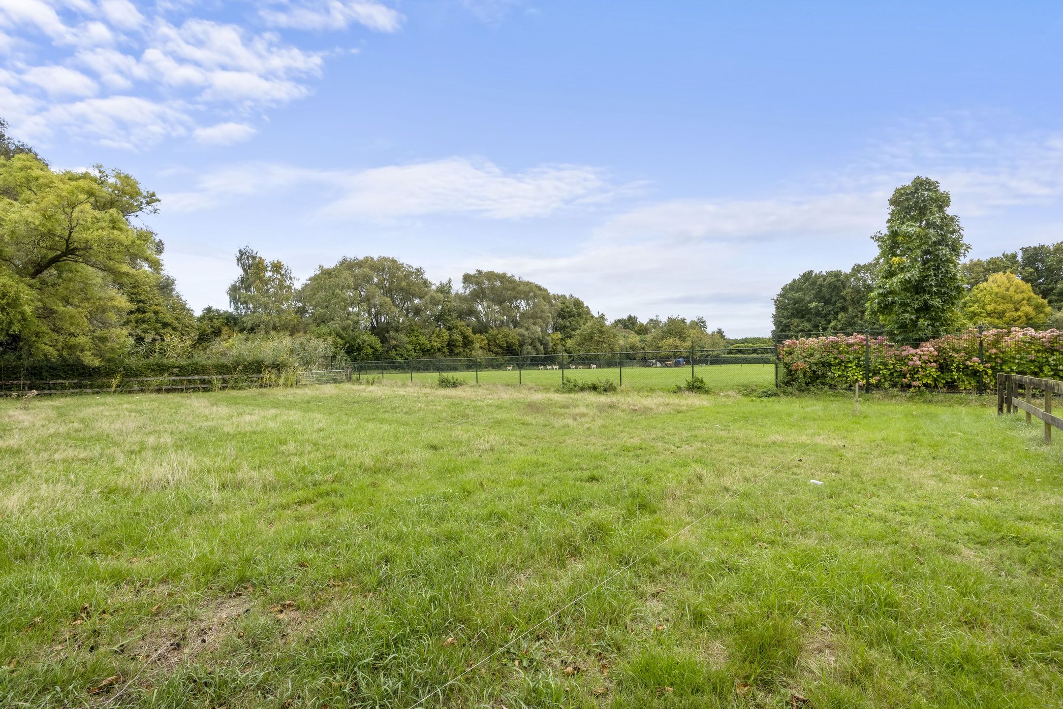 Foto 18 van Woeziksestraat 617