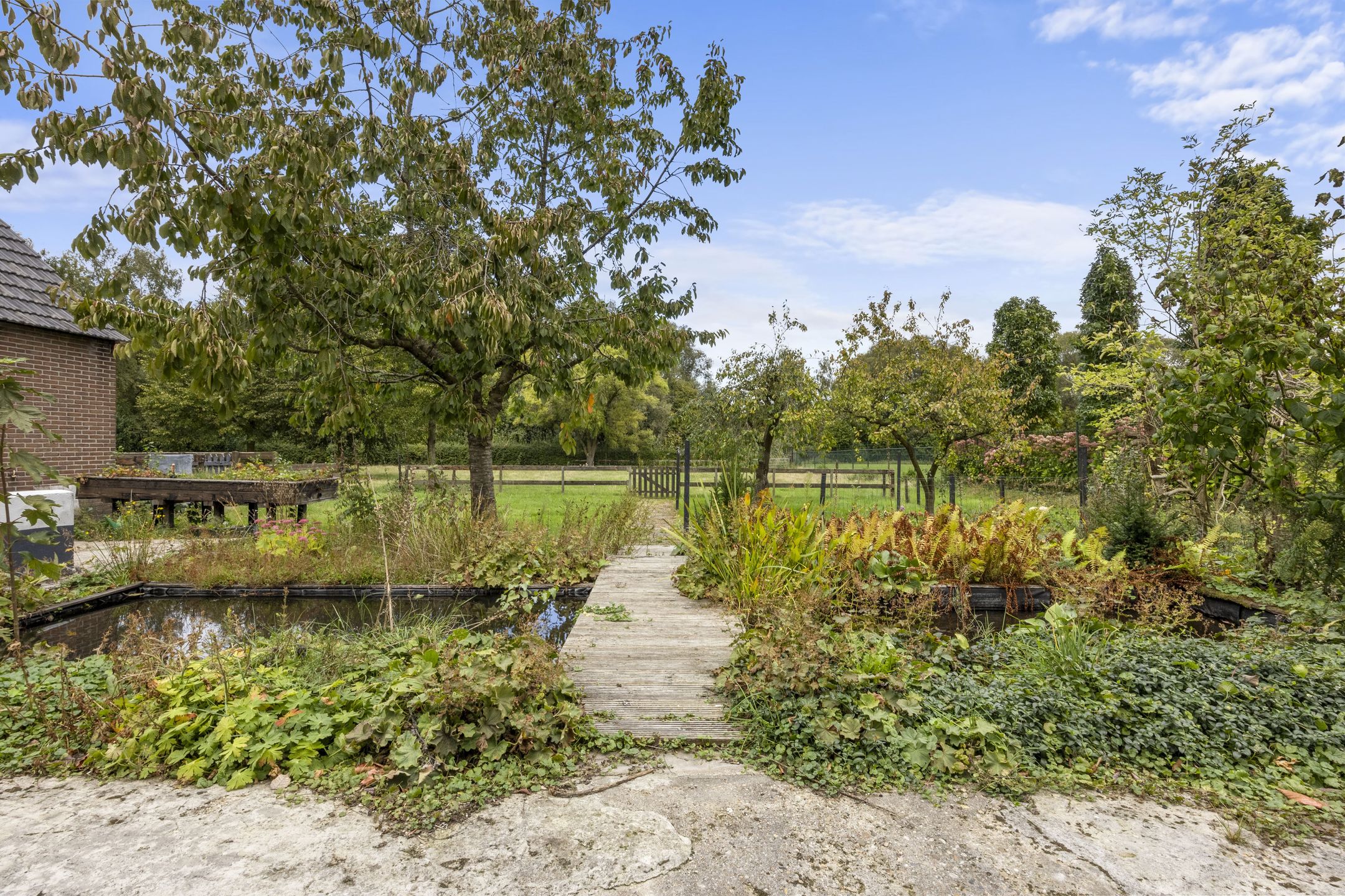 Foto 24 van Woeziksestraat 617