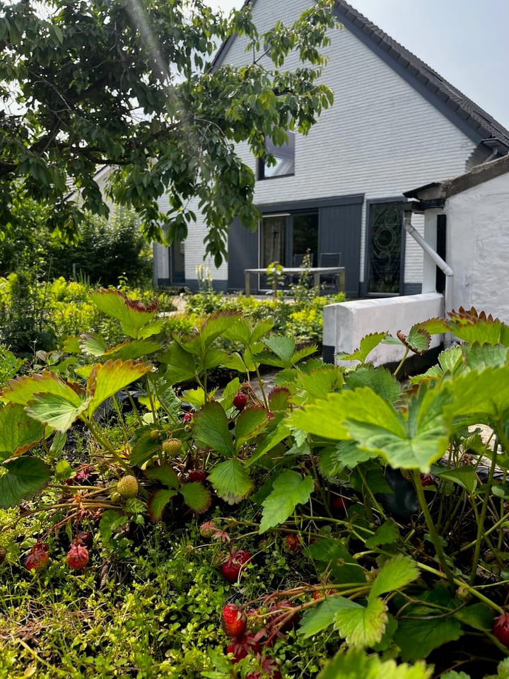 Foto 74 van Woeziksestraat 617