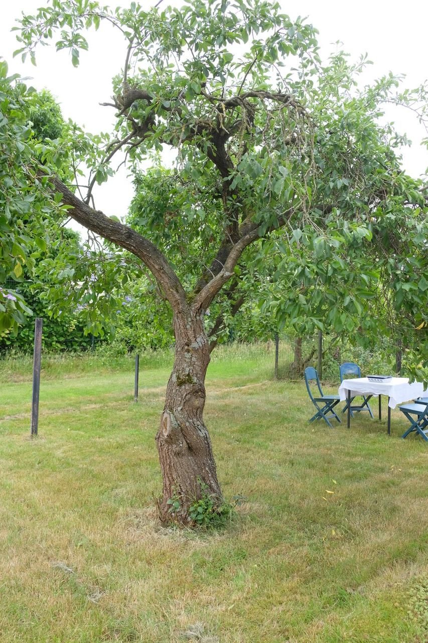 Foto 78 van Woeziksestraat 617