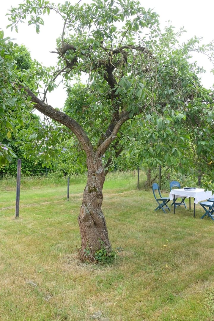 Foto 78 van Woeziksestraat 617