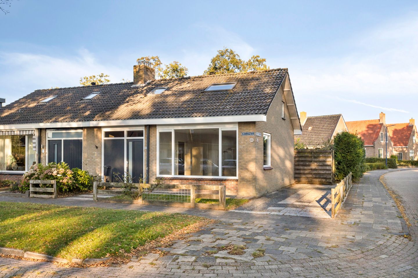 Photo 4 of Molepaed 49