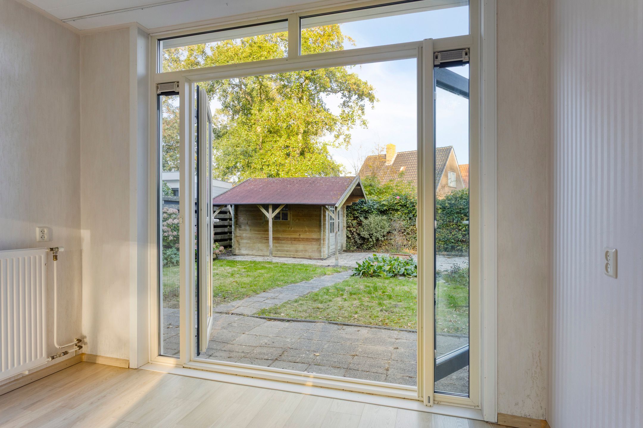 Photo 6 of Molepaed 49