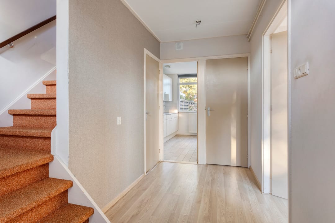 Photo 7 of Molepaed 49