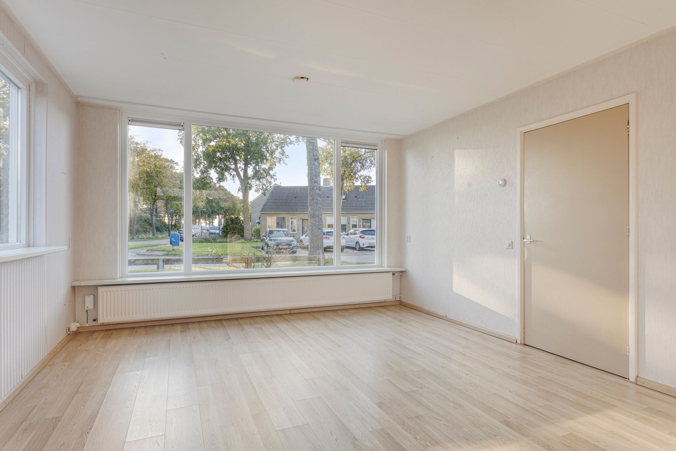 Photo 9 of Molepaed 49