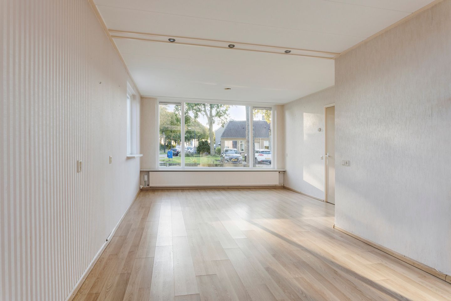 Photo 10 of Molepaed 49