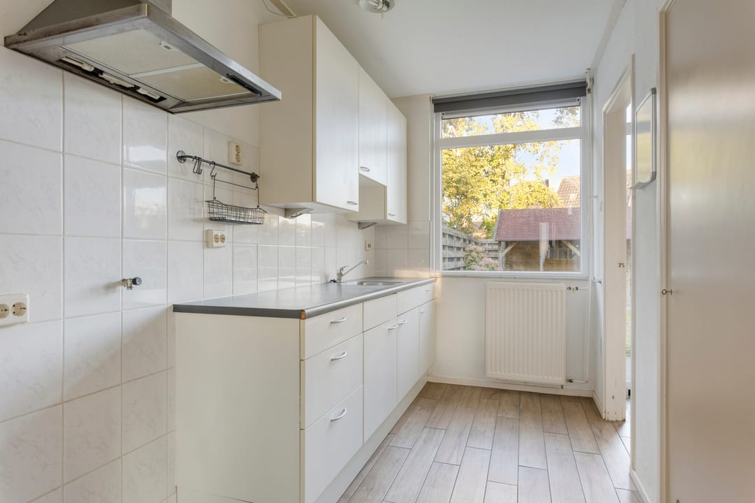 Photo 11 of Molepaed 49