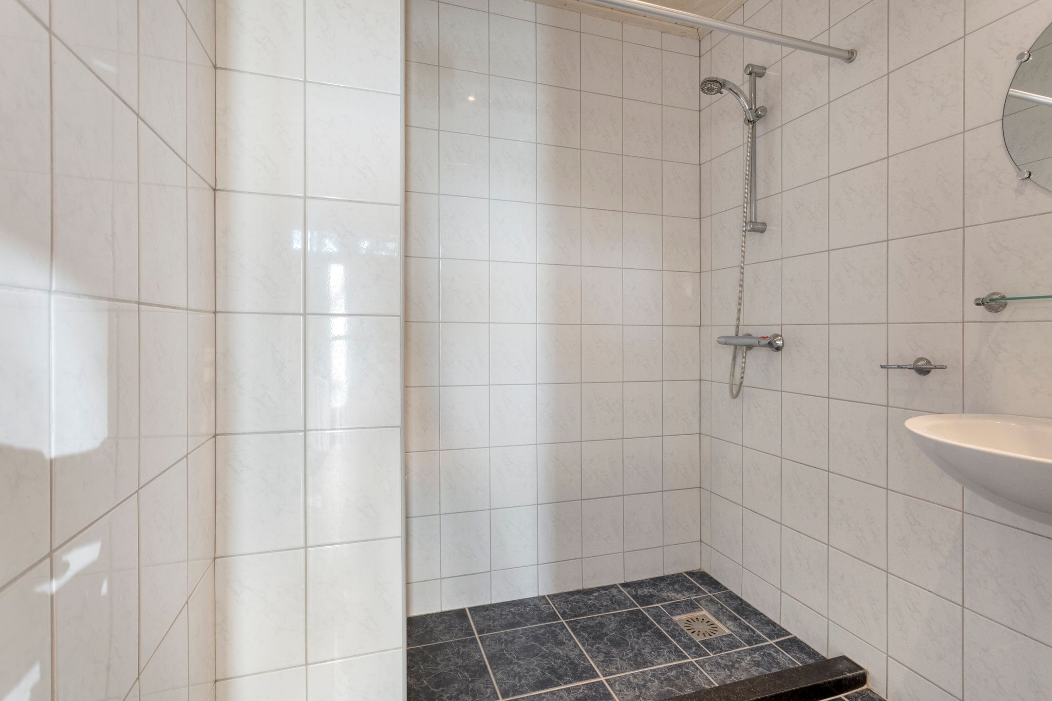 Photo 15 of Molepaed 49