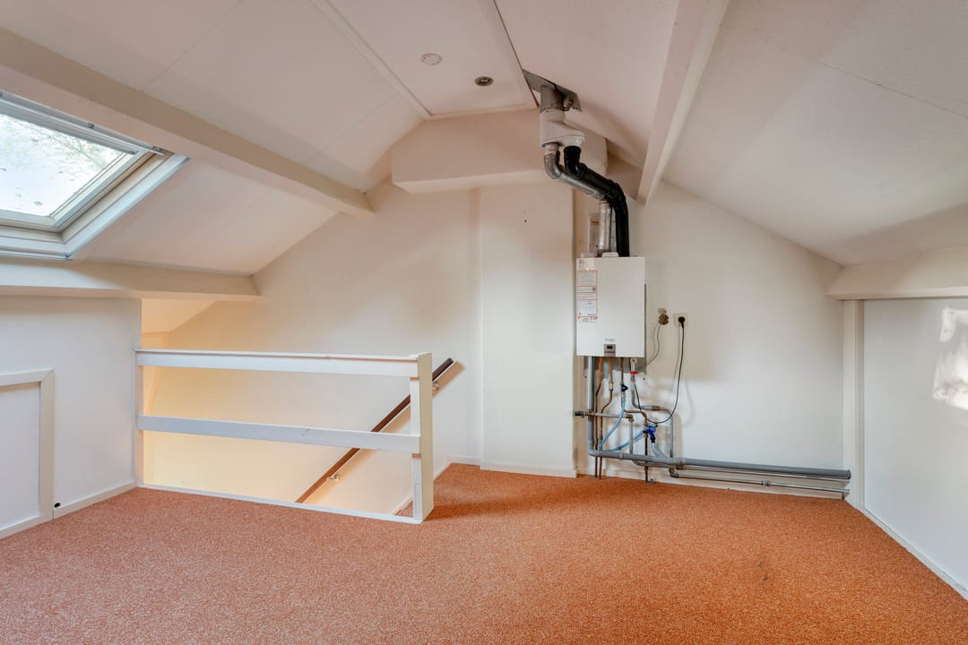 Photo 16 of Molepaed 49