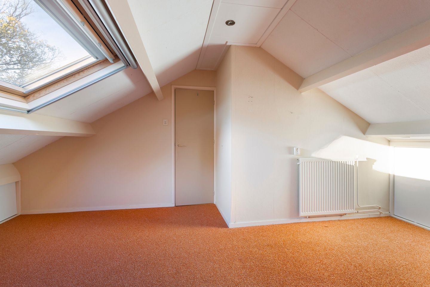 Photo 19 of Molepaed 49