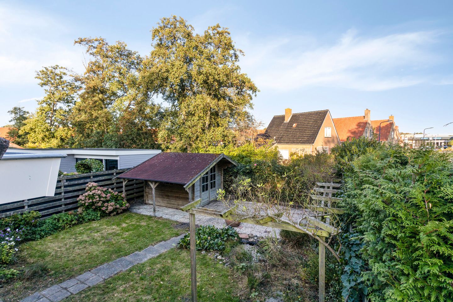 Photo 25 of Molepaed 49