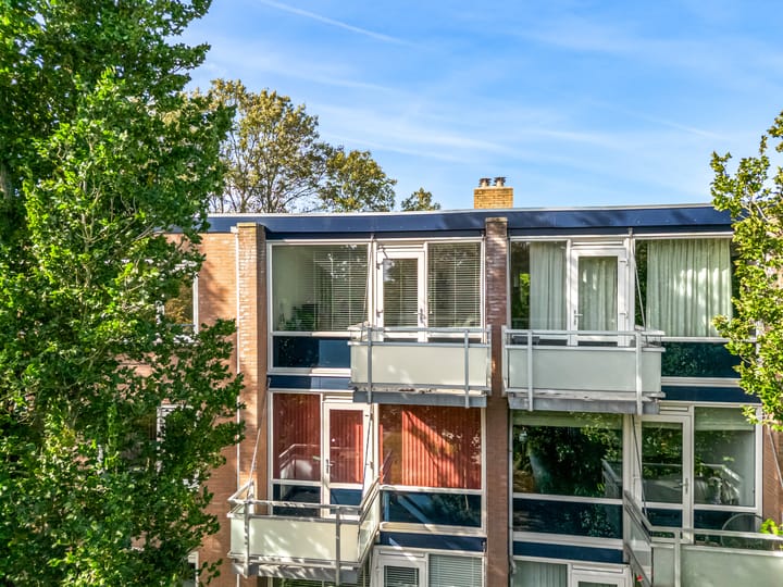 Foto 3 van Laan van Blois 48