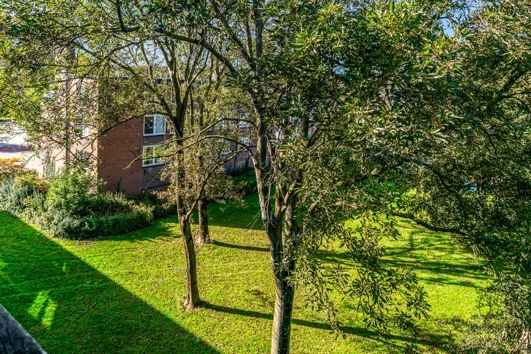 Foto 22 van Laan van Blois 48