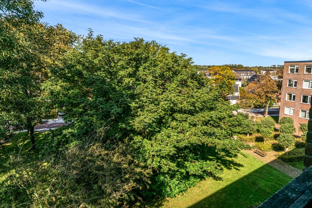 Foto 23 van Laan van Blois 48