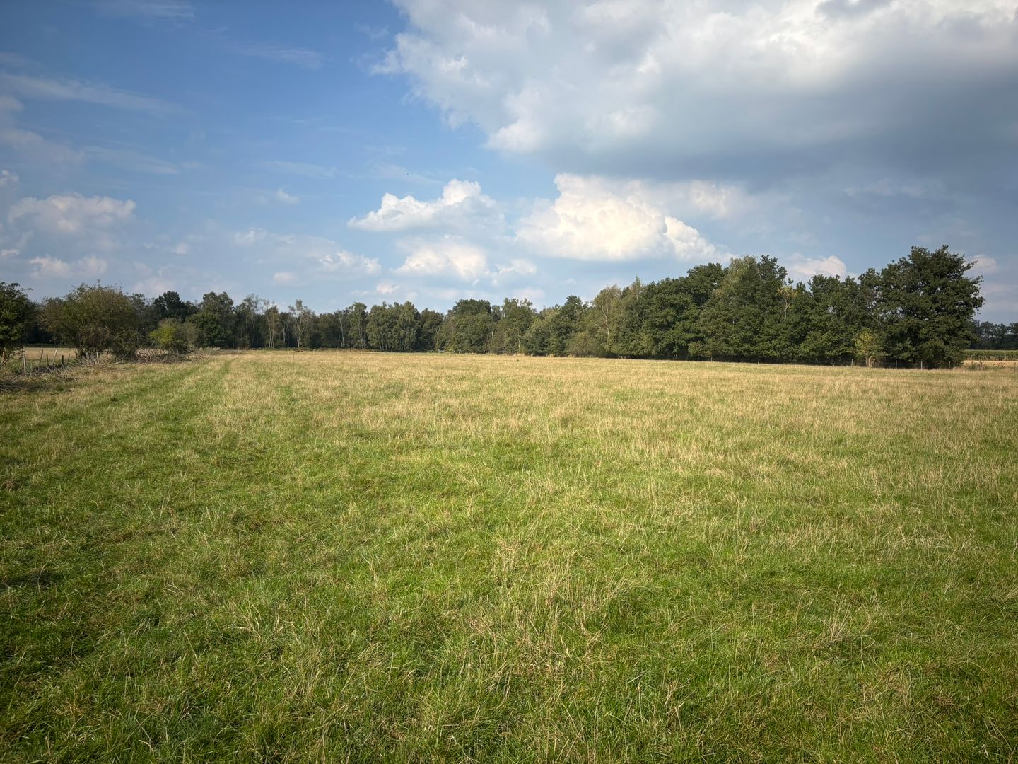 View photo 4 of Kraaienhut