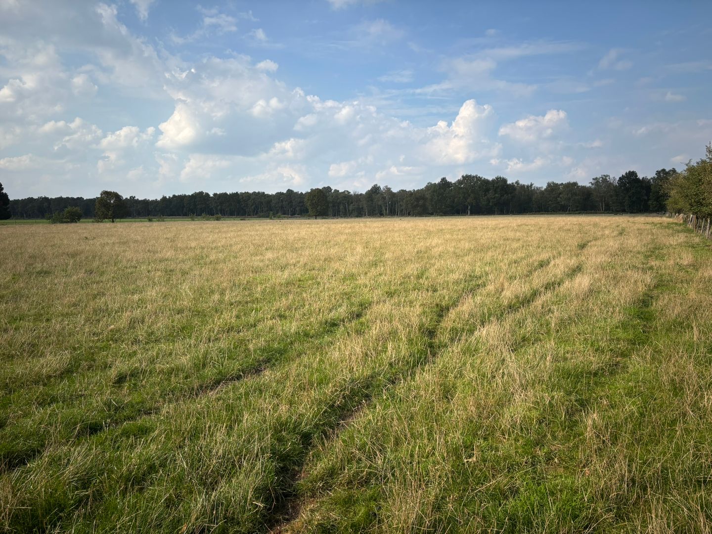 View photo 3 of Kraaienhut