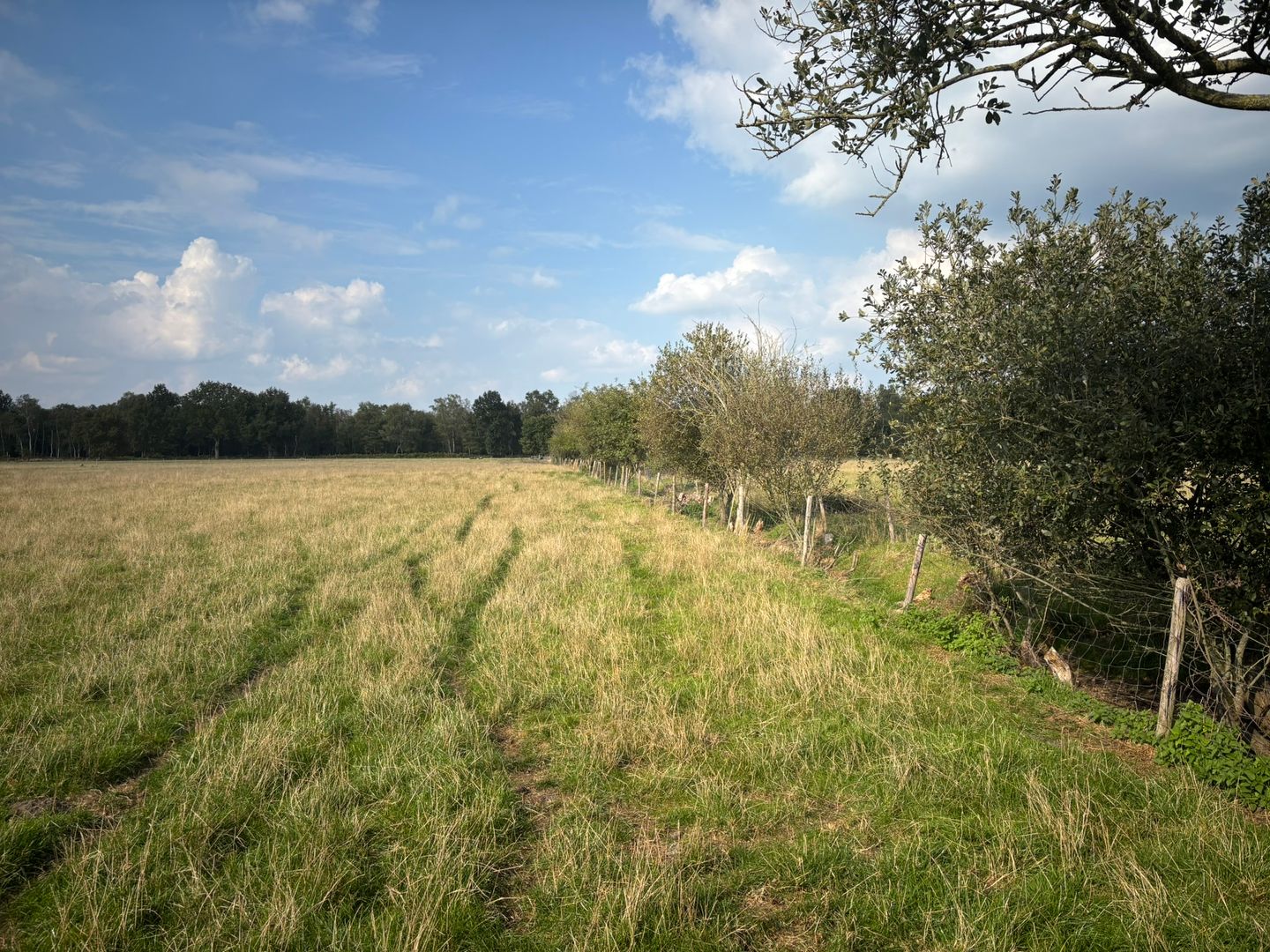 View photo 5 of Kraaienhut