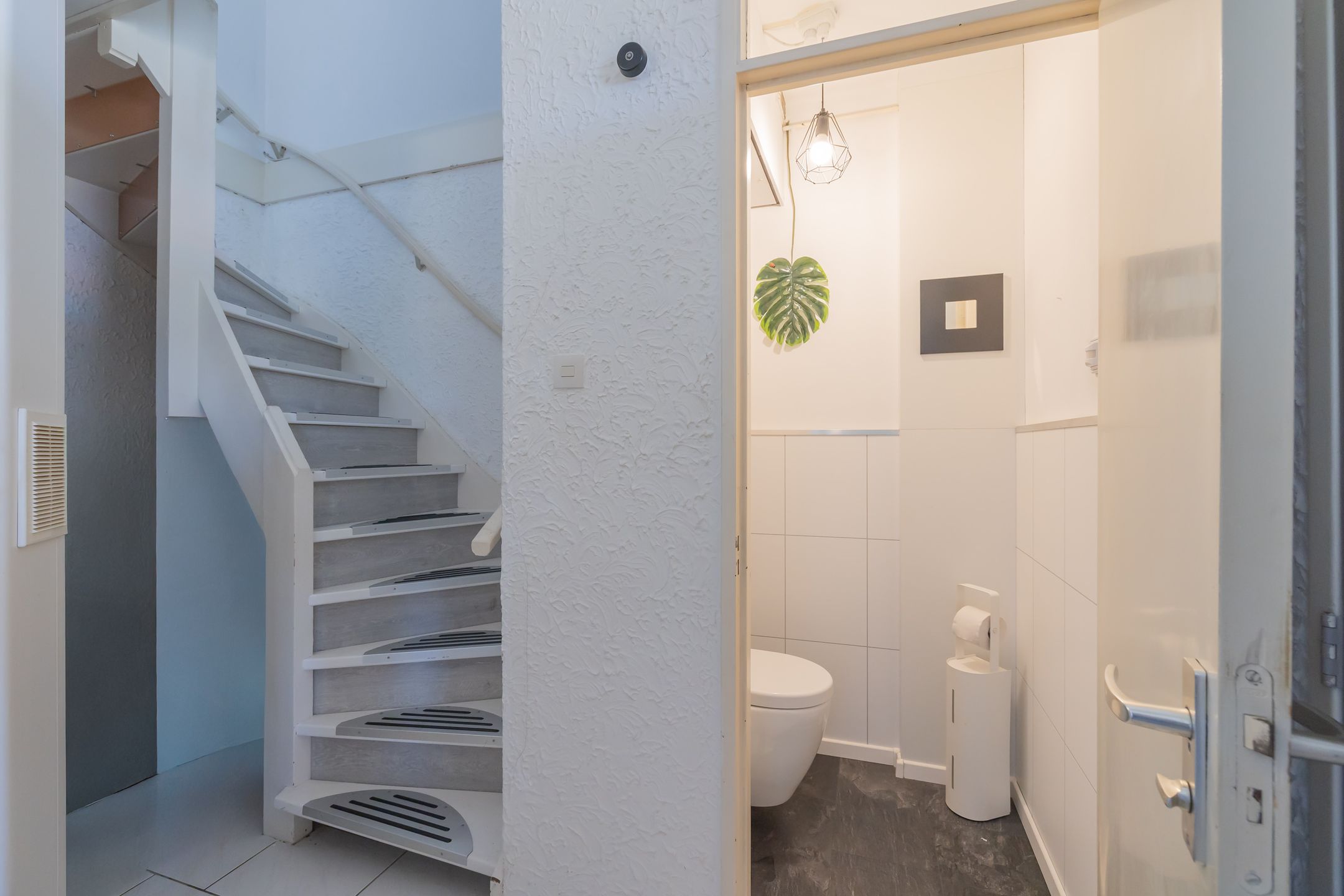 Foto 21 van Palet 20