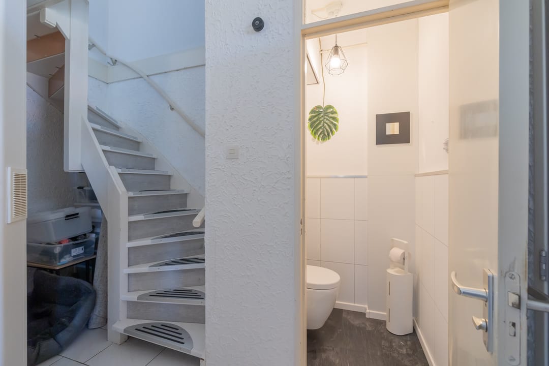 Foto 22 van Palet 20