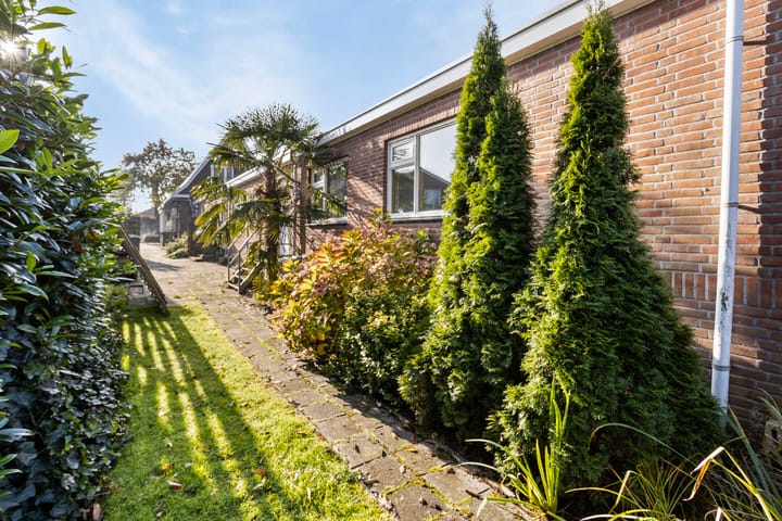 Foto 31 van Runde NZ 94