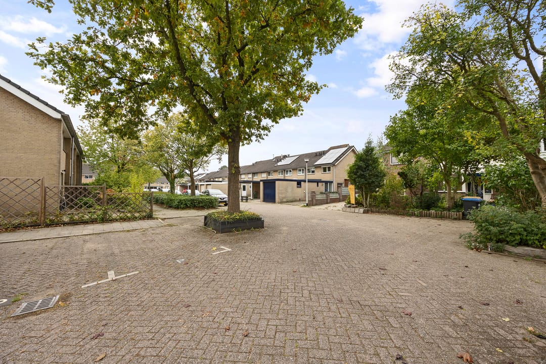 Foto 53 van Hoogstuk 78