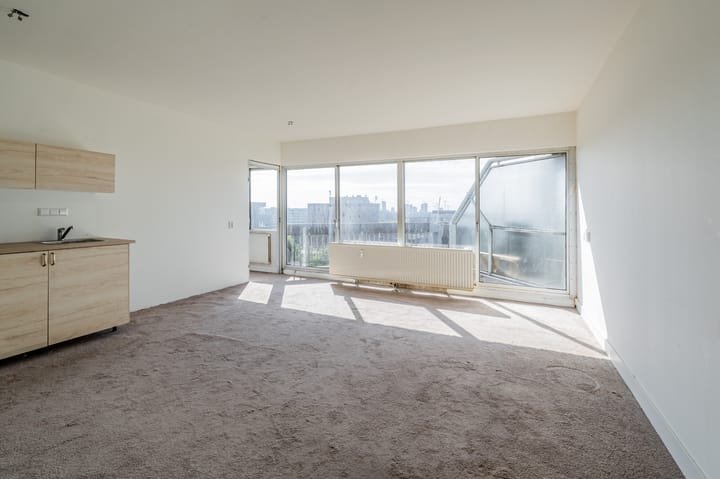 Photo 2 of Gouden Leeuw 352