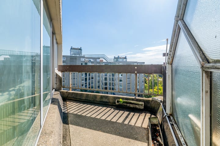 Photo 3 of Gouden Leeuw 352