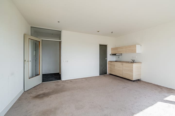 Photo 8 of Gouden Leeuw 352