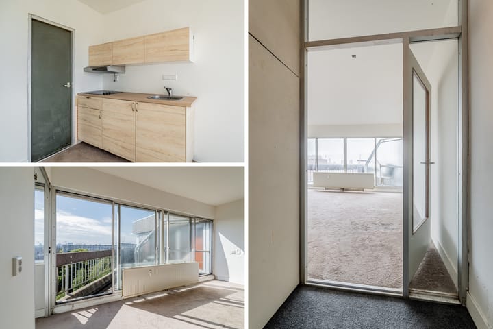 Photo 12 of Gouden Leeuw 352