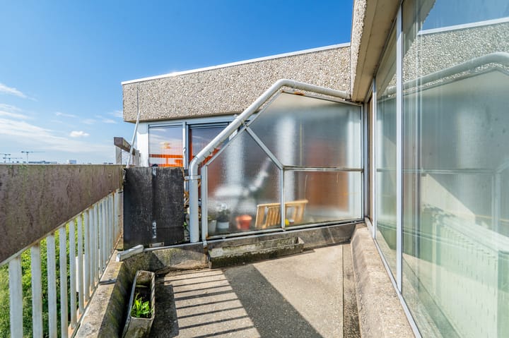 Photo 14 of Gouden Leeuw 352