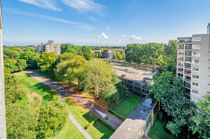 Photo 15 of Gouden Leeuw 352