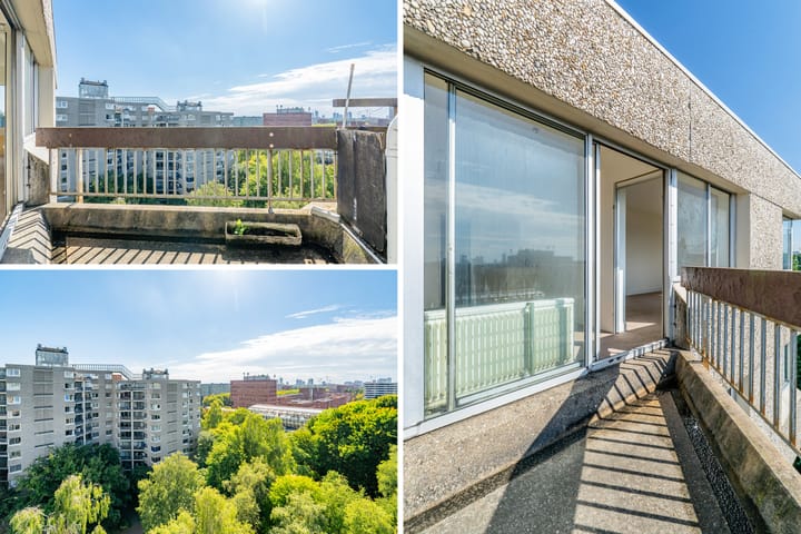 Photo 16 of Gouden Leeuw 352