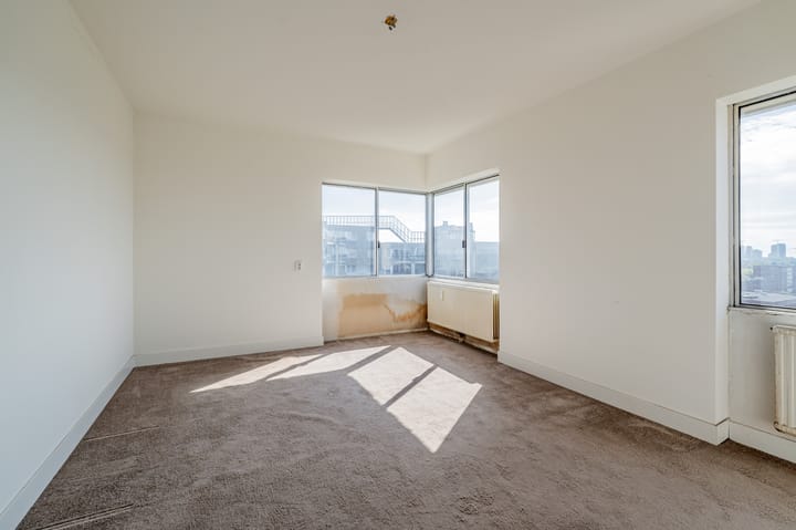 Photo 17 of Gouden Leeuw 352