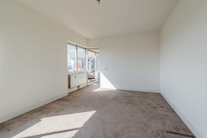 Photo 19 of Gouden Leeuw 352