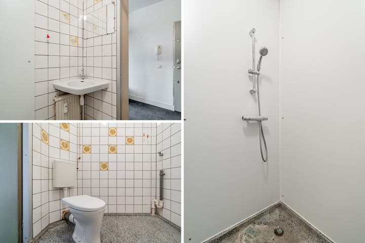 Photo 21 of Gouden Leeuw 352