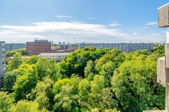 Photo 25 of Gouden Leeuw 352