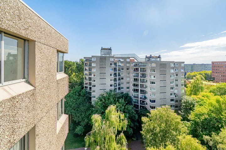 Photo 26 of Gouden Leeuw 352