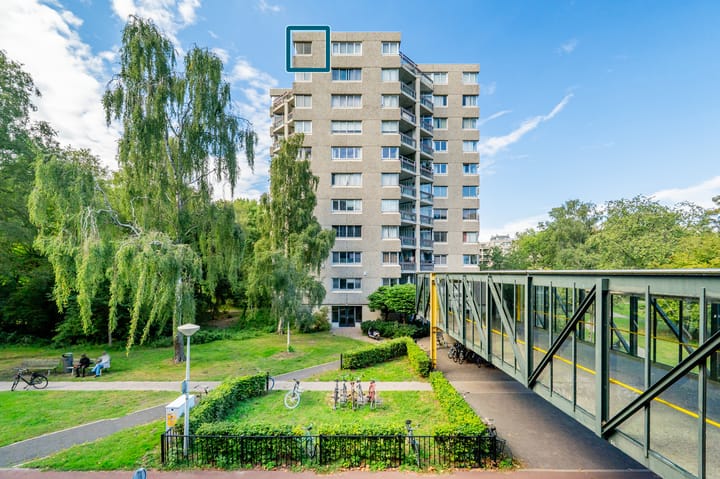 Photo 28 of Gouden Leeuw 352