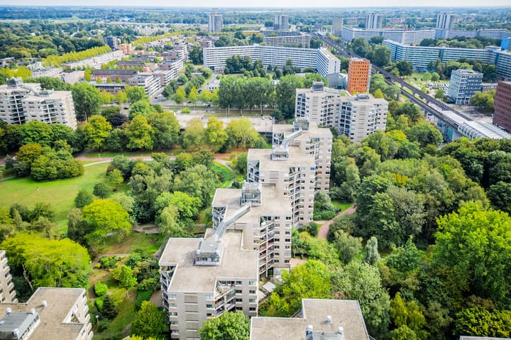 Photo 30 of Gouden Leeuw 352