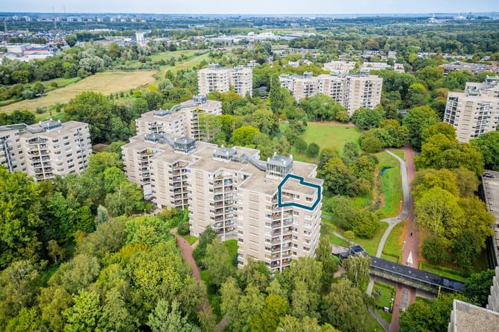 Photo 31 of Gouden Leeuw 352