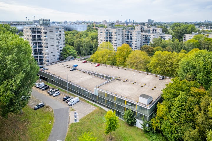 Photo 33 of Gouden Leeuw 352