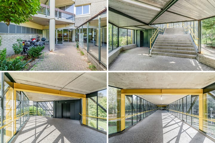 Photo 34 of Gouden Leeuw 352