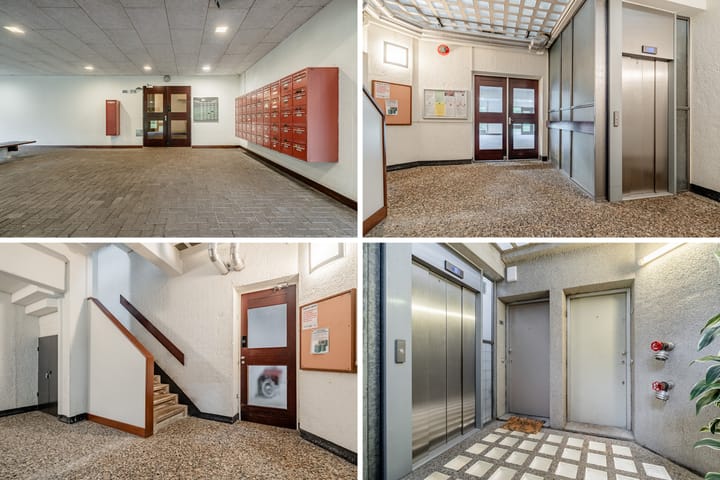 Photo 35 of Gouden Leeuw 352