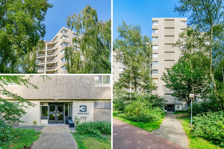 Photo 36 of Gouden Leeuw 352