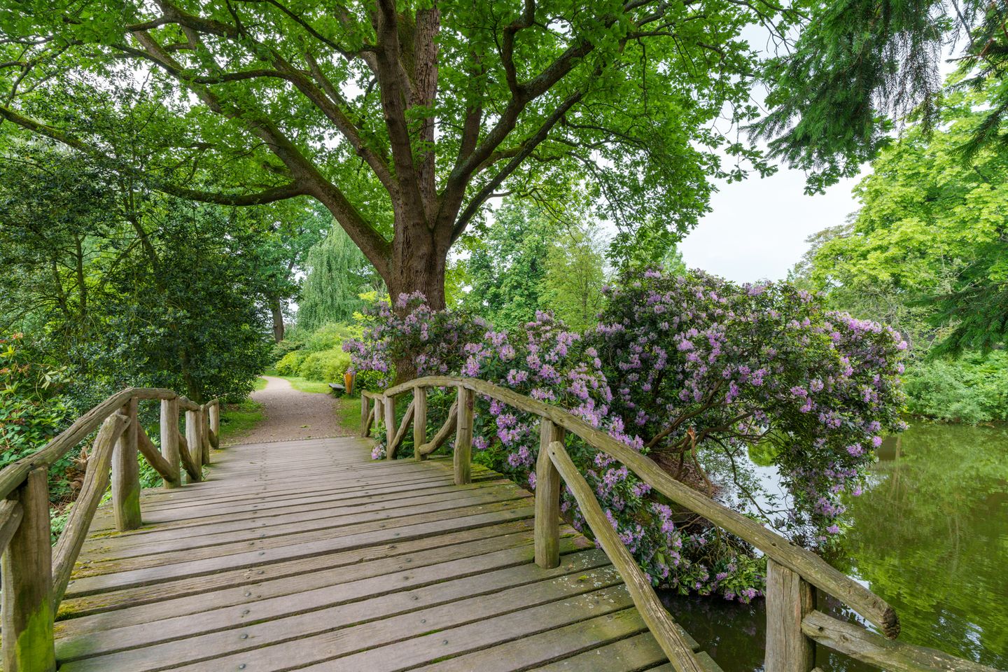 Foto 29 van Dorpsstraat vo Steenstraat 71