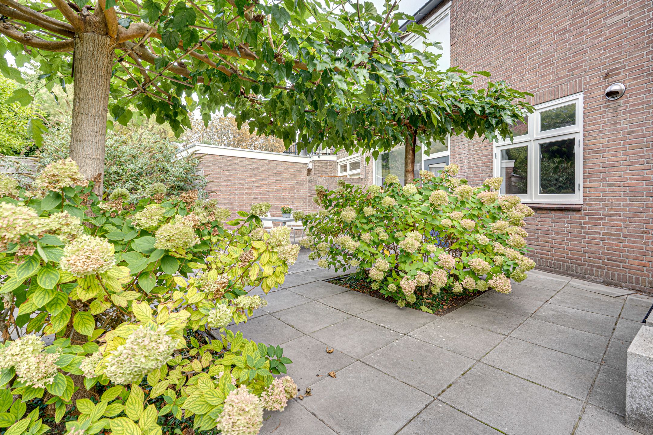 Photo 48 of Zonnebloemstraat 15