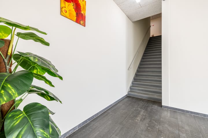 Photo 9 of Melbournestraat 44