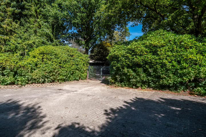 Foto 10 van Lutsborgsweg 23