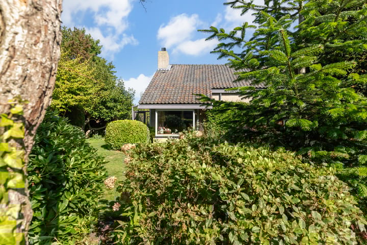 Photo 3 of Van Diepenheim Scheltuslaan 5