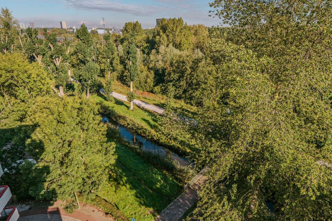 Photo 31 of Martin Luther Kinglaan 298